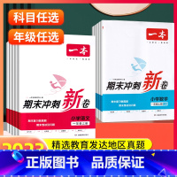 语文[人教版] 一年级上 [正版]2023版期末冲刺新卷一二三四五六年级上册语文数学测试卷全套人教版同步培优新卷 小学同