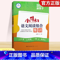 [正版]2023新版小升初语文阅读组合集训阅读理解专项训练 培优新帮手小学文言文现代文古诗词非连续性文本六年级下册总复