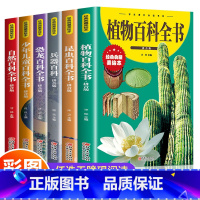 全6册 植物昆虫兵器恐龙自然少年儿童百科全书 [正版]全6册 植物昆虫兵器恐龙自然少年儿童百科全书 小学生课外阅读书籍