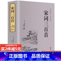 [正版]完整无删减宋词三百首 精选宋词全集 全注全译中国古诗词大全小学生古诗词鉴赏赏析300首 古典浪漫古诗词诗经国学