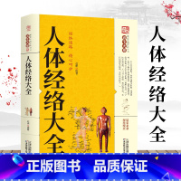 [正版]养生大系 人体经络大全 中医养生穴位经络家庭养生保健百科常见病养生中医基础理百病疗法祛病养生大全家庭实用百科全