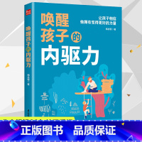 [正版]唤醒孩子的内驱力 梅拾璎 北大妈妈20年教子手记 让孩子自驱型成长激发学习兴趣动力优等生培养指南 父母家庭教育