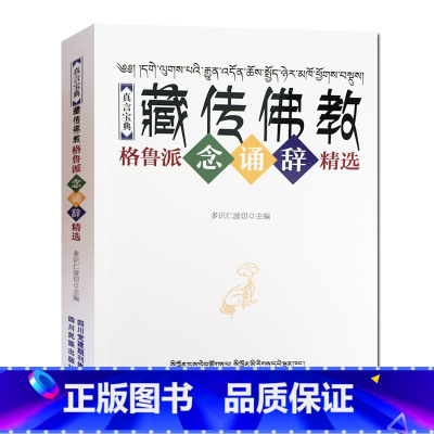 [正版] 真言宝典 藏传佛教格鲁派念诵辞精选 多识仁波切 四川民族出版社