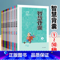 智慧背囊1~10辑 初中通用 [正版]智慧背囊全套10册中小学生阅读积累·作文素材经典美文助力写作主体多元素材丰富新颖典