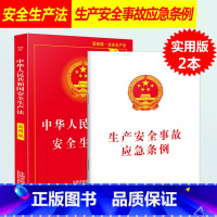 [正版]2023适用中华人民共和国安全生产法实用版法条 2021年6月修订新版安全事故应急条例含典型案例消防应急救援法