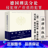 [正版]2023新书 德国刑法分论 侵犯财产价值的犯罪 当代德国法学名著 约翰内斯·韦塞尔斯 法律出版社9787519