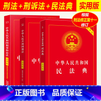 [正版]2023年版适用新刑法+刑事诉讼法+民法典实用版刑法修正案十一 中国刑法典2022年版新版中国刑法典民法典法条