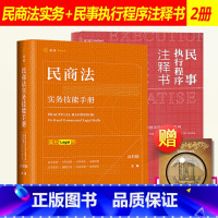 [正版]麦读2019新书2本 高杉峻民商法实务技能手册+丁亮华民事执行程序注释书 司法解释 执行案例 尽职调查 合同审