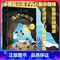 海边的山洞 [正版]店 海边的山洞 卡内基文学奖提名 埃塞克斯图书奖 达德利青少年图书奖 校园霸凌 强迫症 外国儿童文学