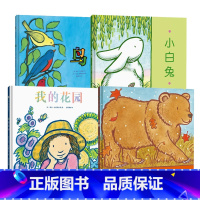 套装4册:鸟+小白兔+我的花园+大熊 [正版]套装4册:鸟+小白兔+我的花园+大熊
