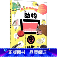 动物口图鉴:看!好大的嘴 [正版]店 动物口图鉴:看!好大的嘴 收录了海陆空52种生物的嘴相关的知识 自主阅读生物科普6