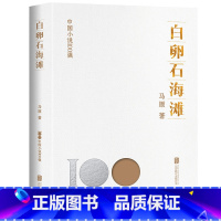 [正版] 白卵石海滩 中国小说100强系列 中国当代“先锋派”小说代表作家之一 中国文学