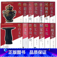 第二辑[套装14册] [正版]墨轩20世纪中国文物考古发现与研究丛书第二辑 14册红山文化楚文化大汶口文化甘青地区史前考