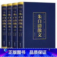 [正版]朱自清散文集全4册中国白话美文典范彩色烫金详解注释译文朱自清经典散文作品精选人间草木阅读课外文学读物书现中国当