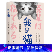 [正版]我是猫夏目漱石原著世界名著外国小说九年级下册名著书籍一本看似轻松实则沉重的中学生课外阅读青春文学小说书籍