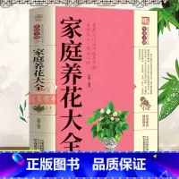 [正版]家庭养花大全书籍基础入门实用技巧四季养花大全栽培植物养花书籍花卉蔬菜种植技术家庭养花种菜花卉种植宝典书籍入门宝