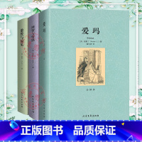 全套3册[傲慢与偏见+爱玛+理智与情感] [正版]傲慢与偏见爱玛理智与情感原著全套3册世界经典文学名著青少年初高中小学生