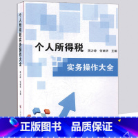 [正版]个人所得税实务操作大全个人所得税纳税筹划与风险防控个税汇算清缴政策解读纳税申报减免计算案例实操大全财务会计类书