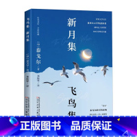 [正版]泰戈尔诗新月集·飞鸟集生如夏花诺贝尔文学奖得主泰戈尔诗选诗集初中生课外阅读书籍名著小说诗选集外国经典名著书