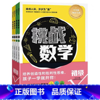 [正版]挑战数学初级全4册幼小衔接+一二年级训练儿童数学思维培养5-8岁