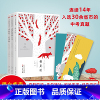 丁立梅的阅读课 [正版]东方甄选丁立梅的阅读课 相见欢+让梦想拐个弯+草世界花菩提全3册 丁立梅精选散文集心理写作课 初