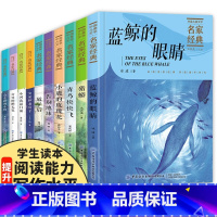 中国儿童文学名家经典冰波童话全10册 [正版]中国儿童文学名家经典全套10册 冰波王一梅童话系列课外书沈石溪动物小说 小