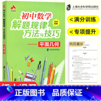 平面几何 初中通用 [正版]2023初中数学解题规律方法与技巧平面几何代数巧妙的解题思路初中生七年级八九年级基础知识归纳