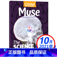 Muse缪斯杂志2021年10月 [正版]单期可选/任选Muse缪斯杂志2022年11.12月另有1-4/10月/202