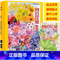 [正版]博物杂志博物2022年增刊 身边花草图鉴 中国国家地理杂志青少年儿童科普杂志订阅