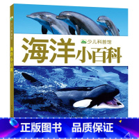 海洋小百科 [正版]宇宙海洋生物动物少儿儿童百科全书大百科 幼儿绘本海洋奥秘大海里的动物世界儿童图书 天文科普书昆虫鸟类