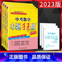 物理 全国通用 [正版]2023版小题狂做提优版中考语文数学物理 中考强化专题专项突破训练辅导资料练习册初三九年级总复习