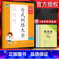 句式训练大全 小学二年级 [正版]2023秋5.3小学基础练句式训练大全二年级语文上册通用版五三小学生2年级上册人教