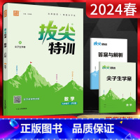 数学 沪科版 九年级下 [正版]2024春通城学典拔尖特训数学九年级下册沪科版HK 初中初三同步课时作业训练培优班尖子生