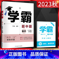 数学 八年级上 [正版]2023秋 学霸题中题八年级上册数学沪科版 初二数学练习册学霸八年级上册数学同步课时提优训练尖子