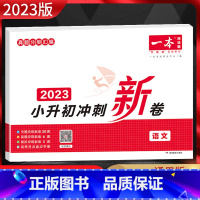 语文 小学升初中 [正版]2023版一本小升初冲刺新卷 语文 通用版 全国各地真题分类汇编 小升初真题卷模拟卷专项训练复