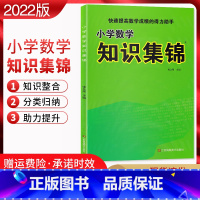 [正版]2022版 小学数学知识集锦通用版 小学数学知识大全 小学数学资料包 快速提高数学成绩的得力助手123456年