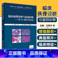 [正版] 临床病理诊断与鉴别诊断-气管、肺、胸膜及纵隔疾病 王恩华张杰 基础医学参考工具书籍 人民卫生出版社