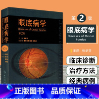 [正版] 眼底病学第2版第二版精装版 张承芬主编 供各级眼科医生使用参考工具书 人民卫生出版社978711713191
