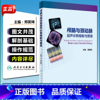 [正版] 颅脑与颈动脉超声诊断模板与图谱 主编邢英琦 TCD常用检验诊断方法 人民卫生出版社 97871172275