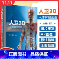 [正版]3D人体解剖图谱 王凡计算机绘画技术绘制3D人体解剖彩色图谱人体结构三维模型 人体解剖结构3D形态书籍人体解剖