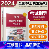 [正版] 2024全国护士执业资格考试指导 人民卫生出版社 9787117351720