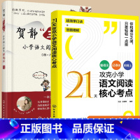 四~六年级小学语文阅读 小学通用 [正版]2册 21天攻克小学语文阅读核心考点+贺静三读法小学语文阅读得高分 4四5五6