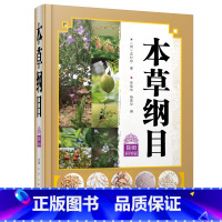 [正版] 本草纲目简明彩图版 中草药中药材图鉴大全常见药材植物的识别特征分布采集图解本草纲目图解图谱大全黄帝内经彩图