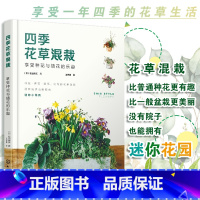 [正版] 四季花草混栽 享受种花与插花的乐趣 花植混栽的常用工具家庭养花草植物栽种搭配植物盆栽零基础花艺园林设计学种花