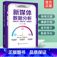 [正版]新媒体数据分析 精准引流 打造 盈利提升 抖音头条快手大鱼短视频公众号 多平台电商数据分析 新媒体自媒体运