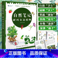 [正版] 自然笔记:解码身边植物 中小学生了解动植物的奇妙与智慧 体验人与自然的和谐共生关系绘画零基础入门教程书