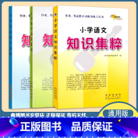 小学知识集萃[语+数+英]3本 小学升初中 [正版]2022 小学语文知识集粹 小学数学英语知识集萃 语文基础知识手册