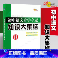 语文 [正版]68所名校 初中语文升学夺冠知识大集结 416页 初升高总复习 中学语文复习资料辅导 初一二三年级知识大全