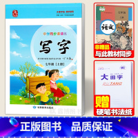 [7年级上册]❤赠1本作业本 [正版]丁永康字帖 中学生语文同步练字帖七年级练字字帖上册下册八年级九年级全一册写字楷书字