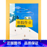 [人教版]数学 八年级下 [正版]2024新版 初中生七年级上册寒假作业数学人教版八年级上册人教版数学 智趣寒假作业初中